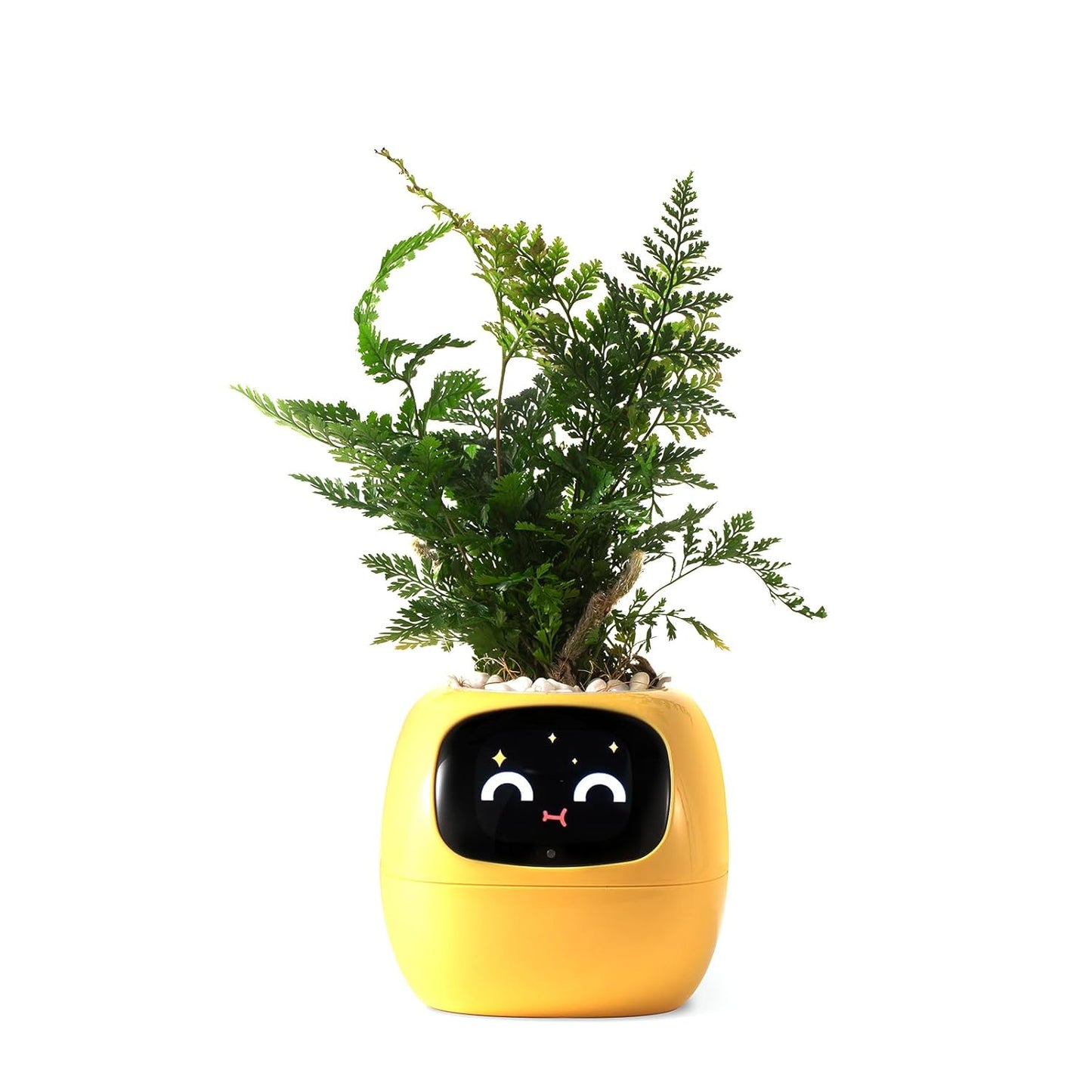 Smart Pet Planter by Sarphire