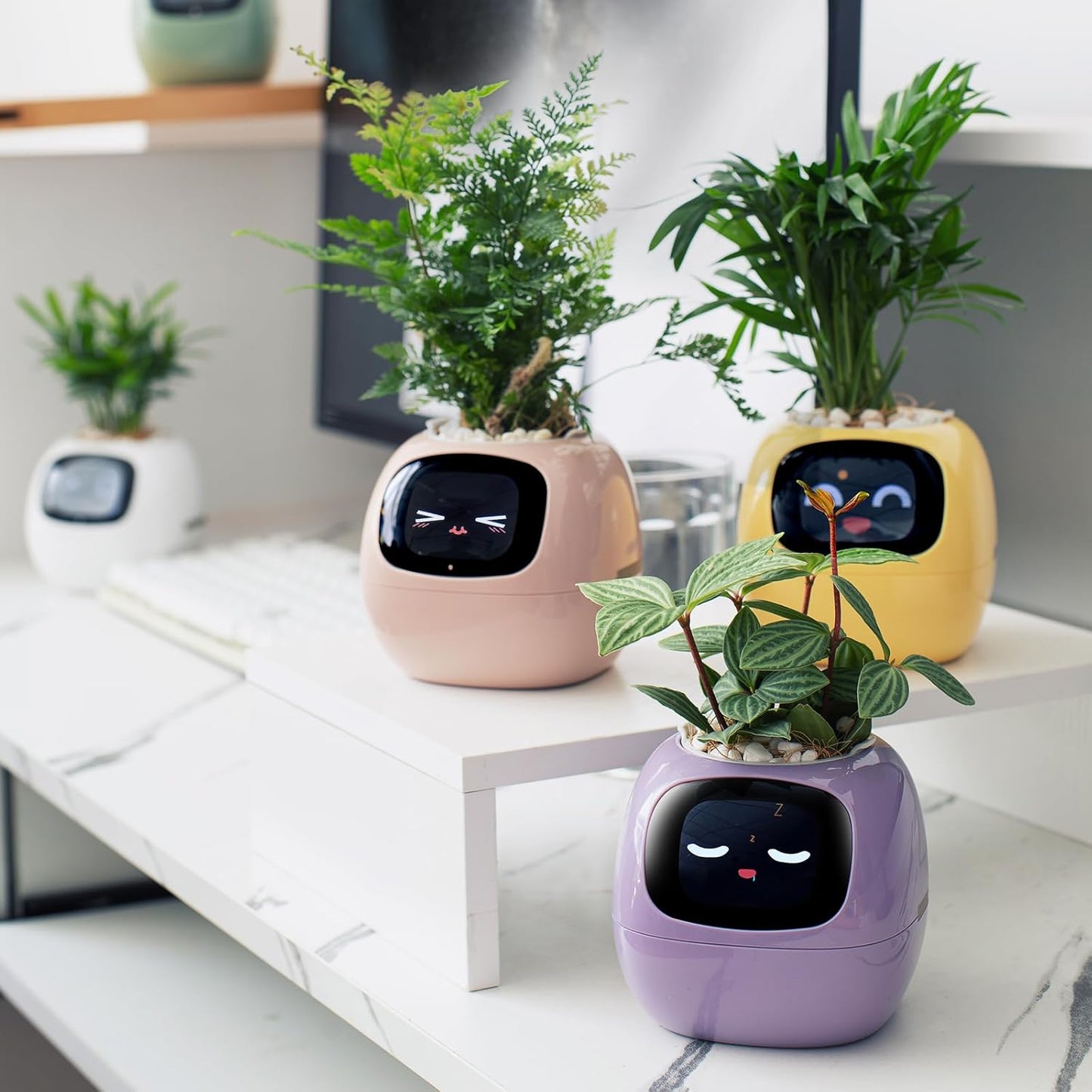 Smart Pet Planter by Sarphire