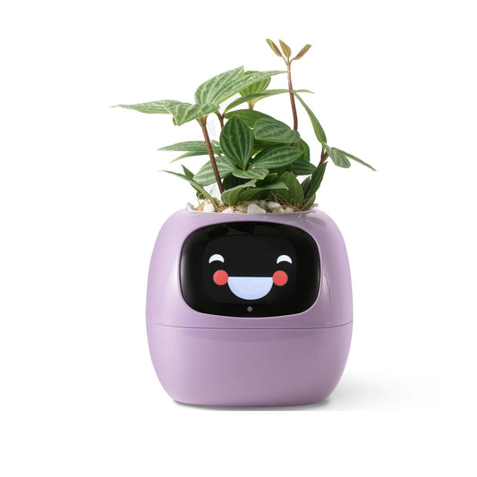 Smart Pet Planter by Sarphire