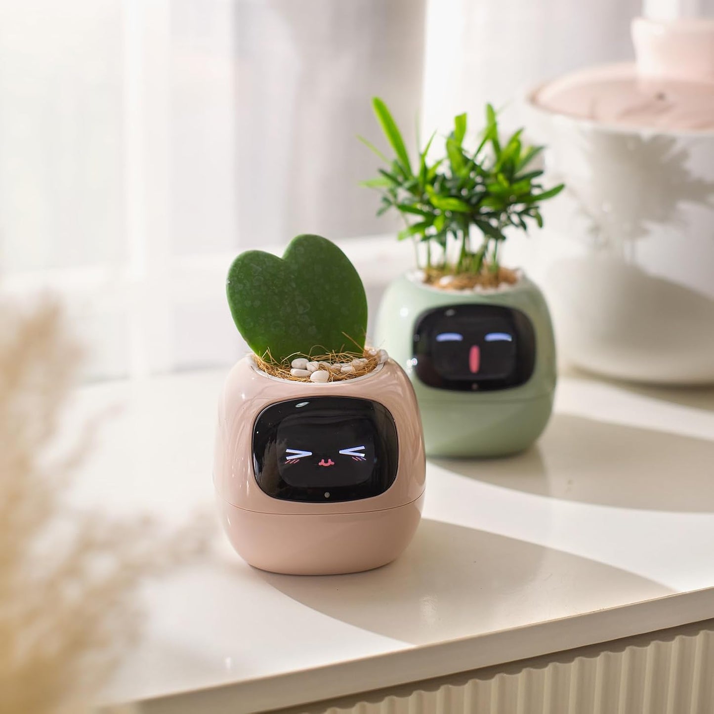 Smart Pet Planter by Sarphire