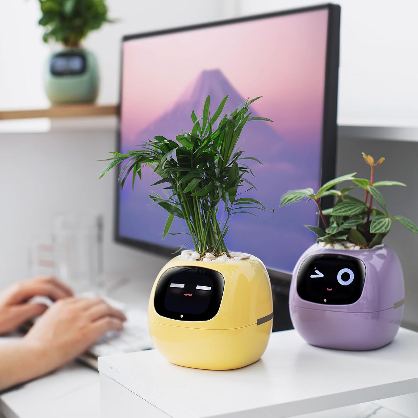 Smart Pet Planter by Sarphire