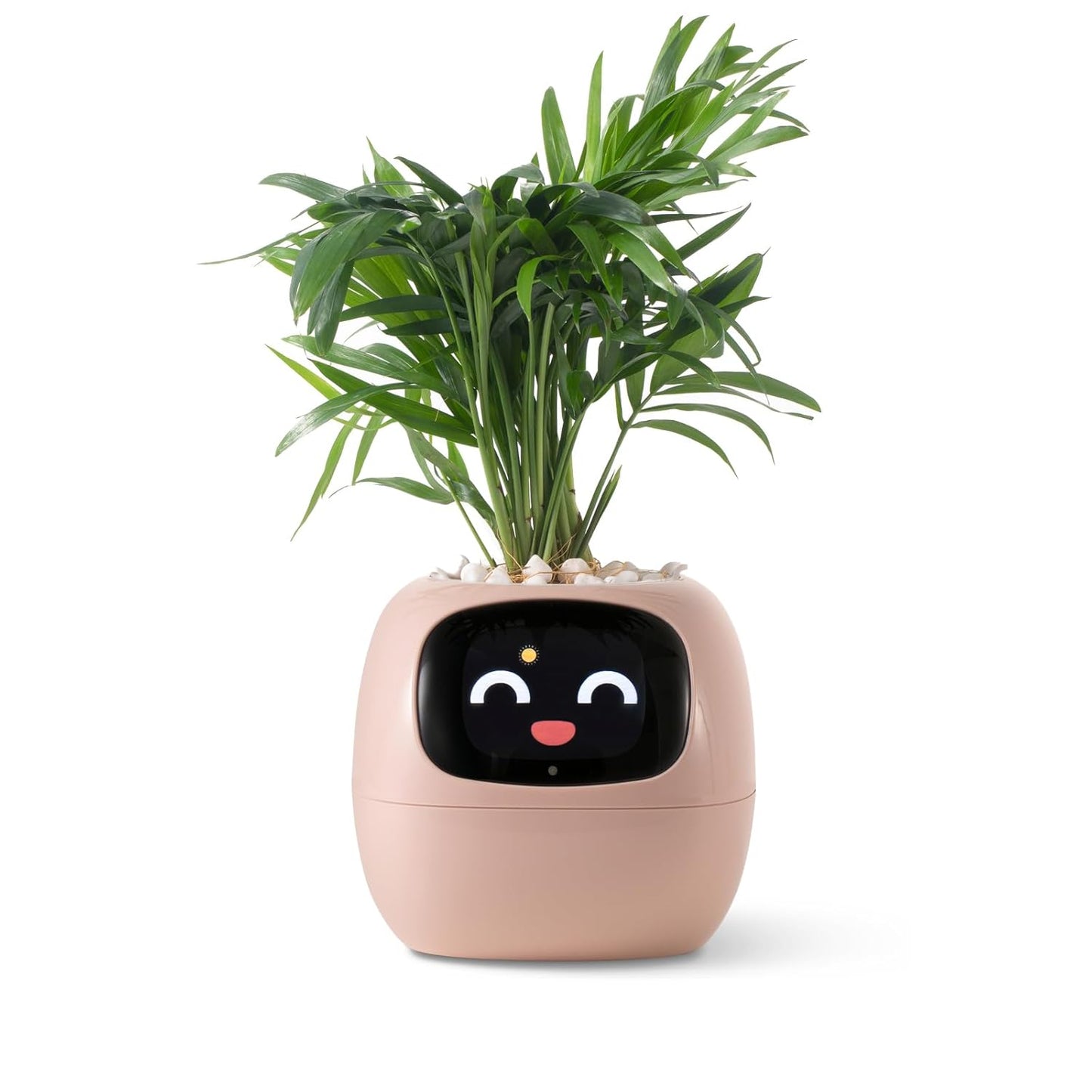 Smart Pet Planter by Sarphire