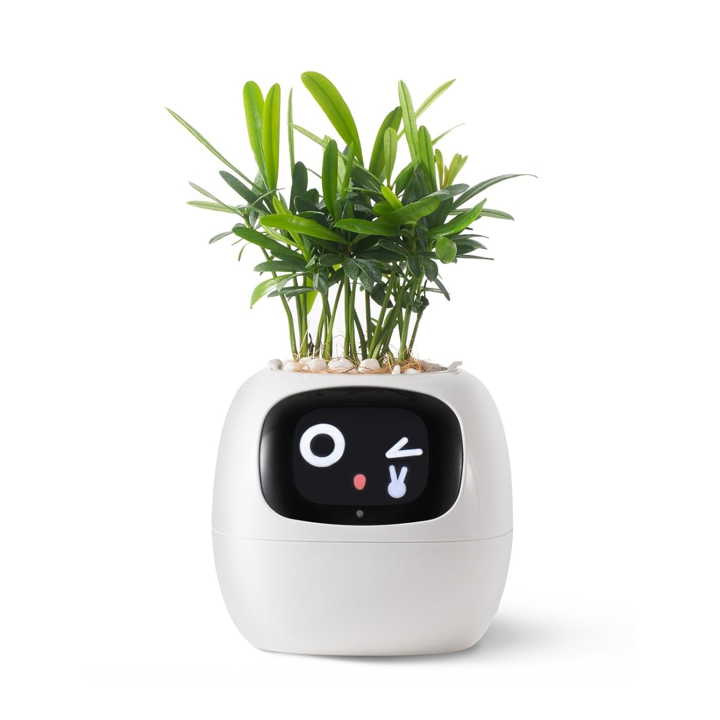 Smart Pet Planter by Sarphire